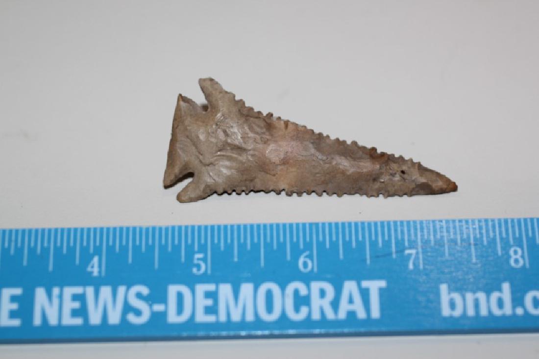 3"L Pine Tree, Kentucky (1 of 2)