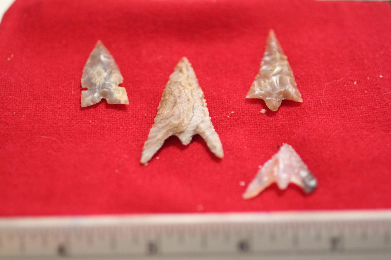 Small Oregon Gem Pts (1 of 1)