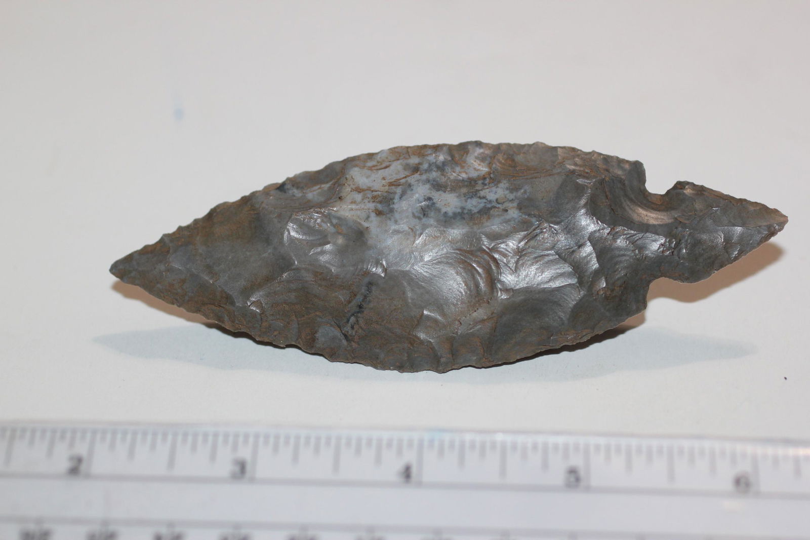 4 5/8" L Turkey Tail, KY (1 of 2)