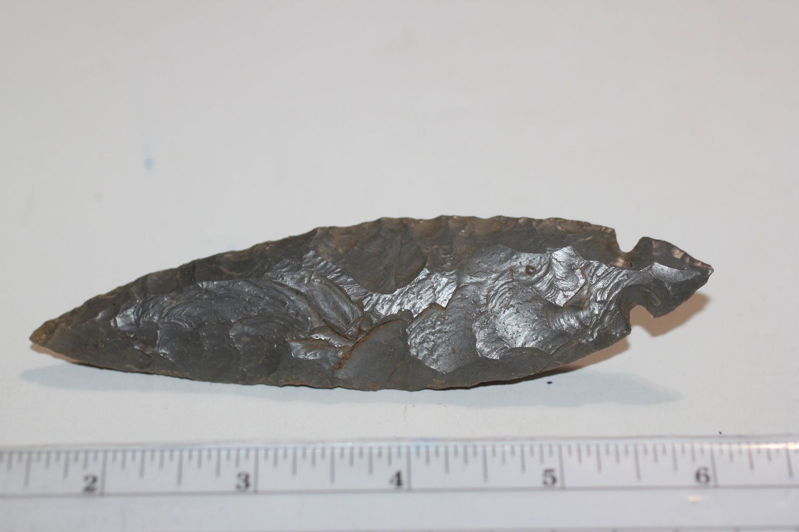 4 7/8" Turkey Tail, KY (1 of 2)