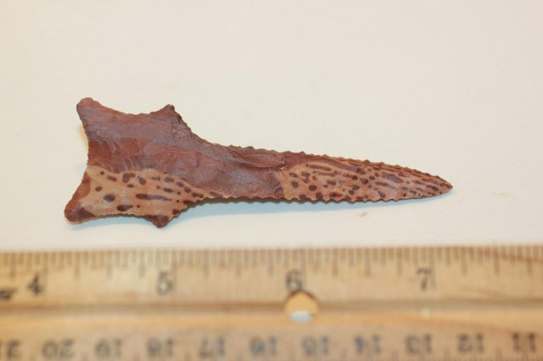 3 3/16" L Dalton Drill, Pertrified Palm Wood, NE: See Lot Title