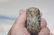 2 3/8" W x 1" H Discoidal, Brown Co., IL - 3