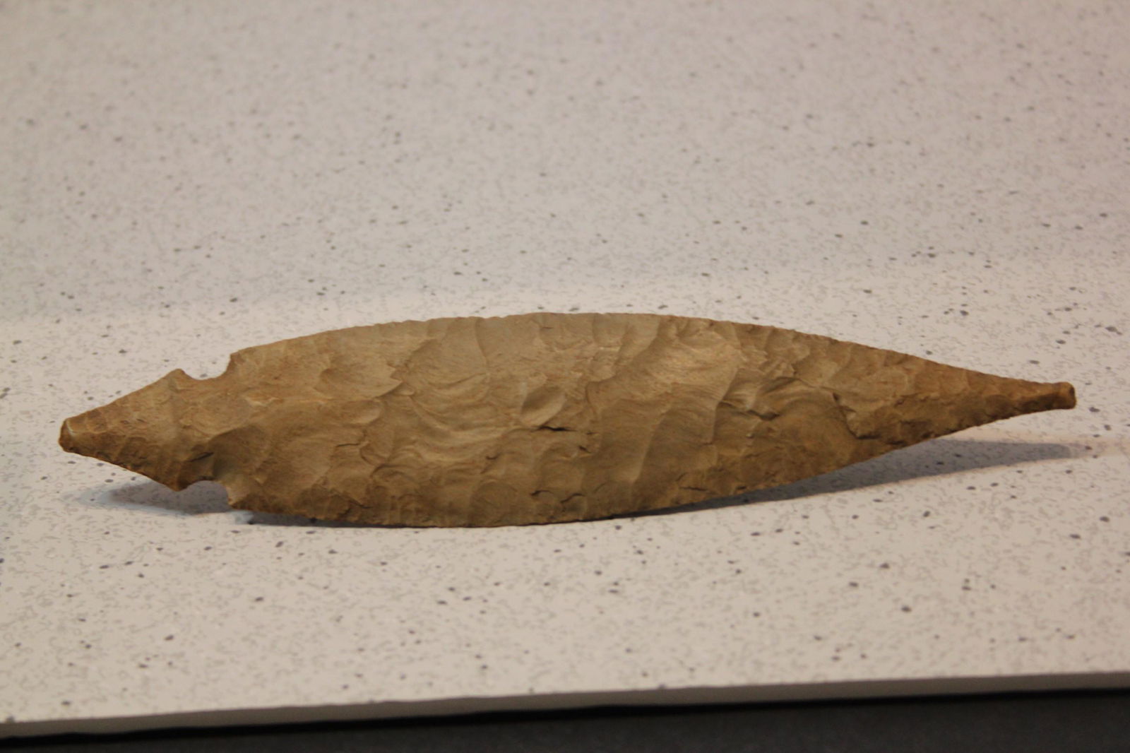 8 3/16" L Turkey Tail, Diskson Cnty, TN (1 of 2)