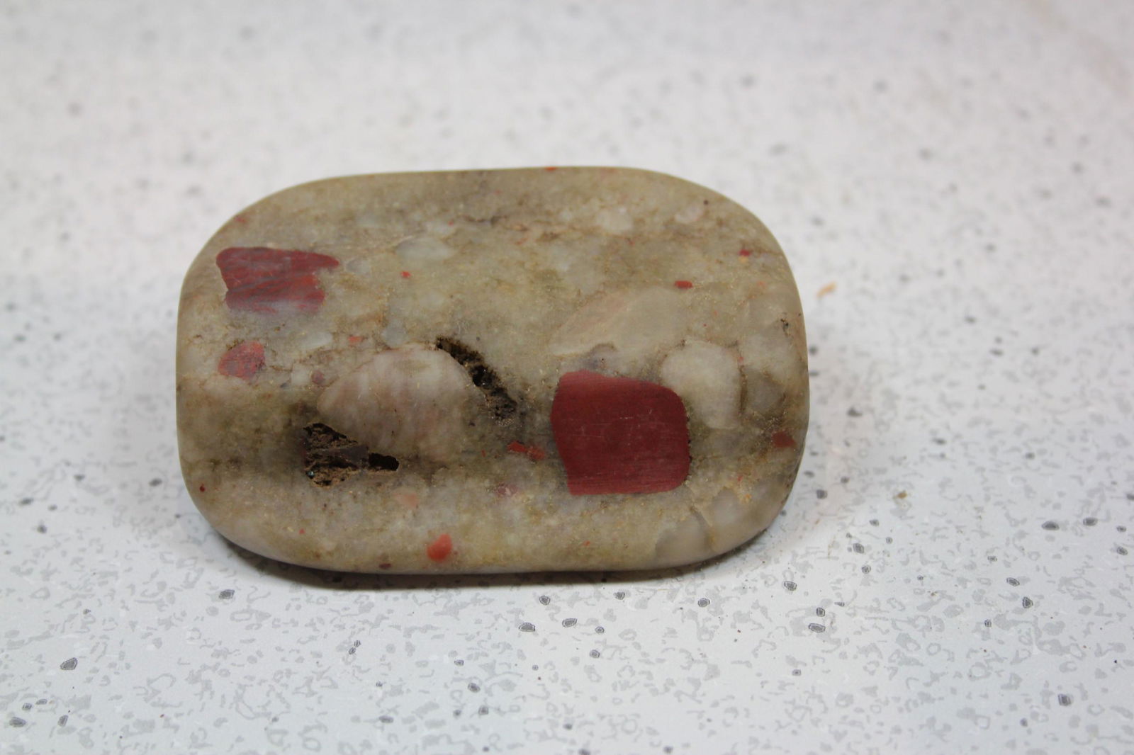 2 15/16" L x 2" W Porphryr Panel Bannerstone, Ingham: 2 15/16" L x 2" W Porphryr Panel Bannerstone, Ingham Cnty, MI