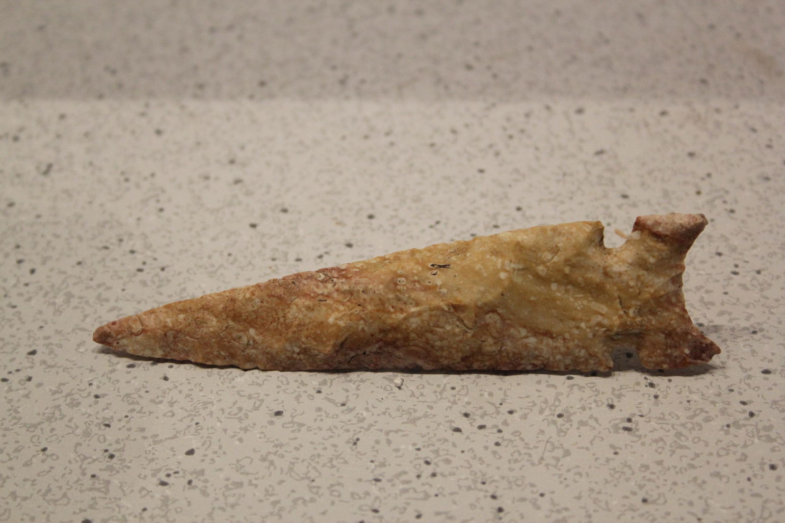 5" L Graham Cave, Logan Cnty, IL (1 of 2)