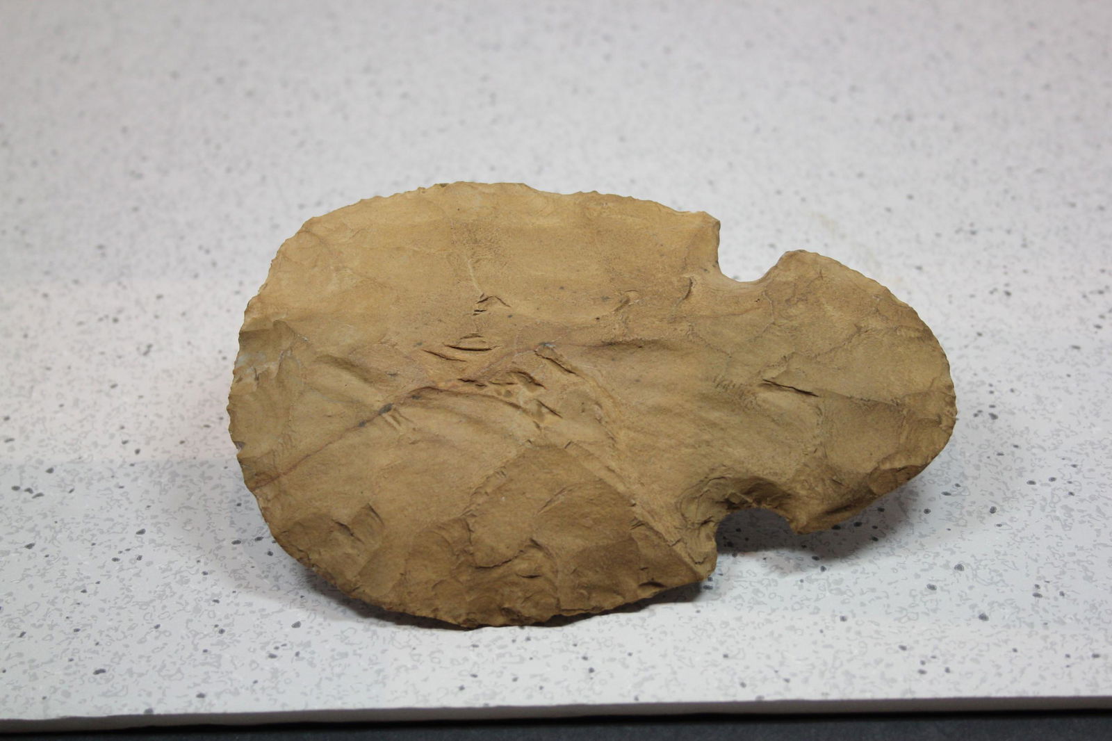 6 1/16" L x 3 15/16" W Notched Hoe, Madison Cnty, IL (1 of 2)