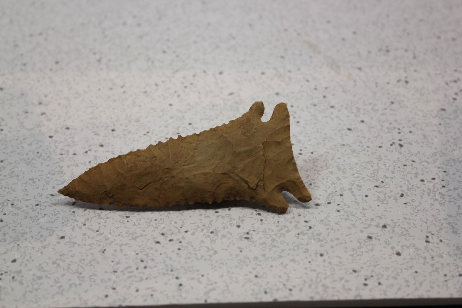 3 13/16" L Serrated Pine Tree, Bulland Cnty, KY (1 of 2)