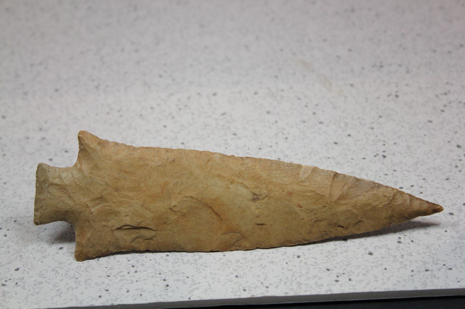 4 5/8" L Pine Tree, Adams Cnty, IL (1 of 2)