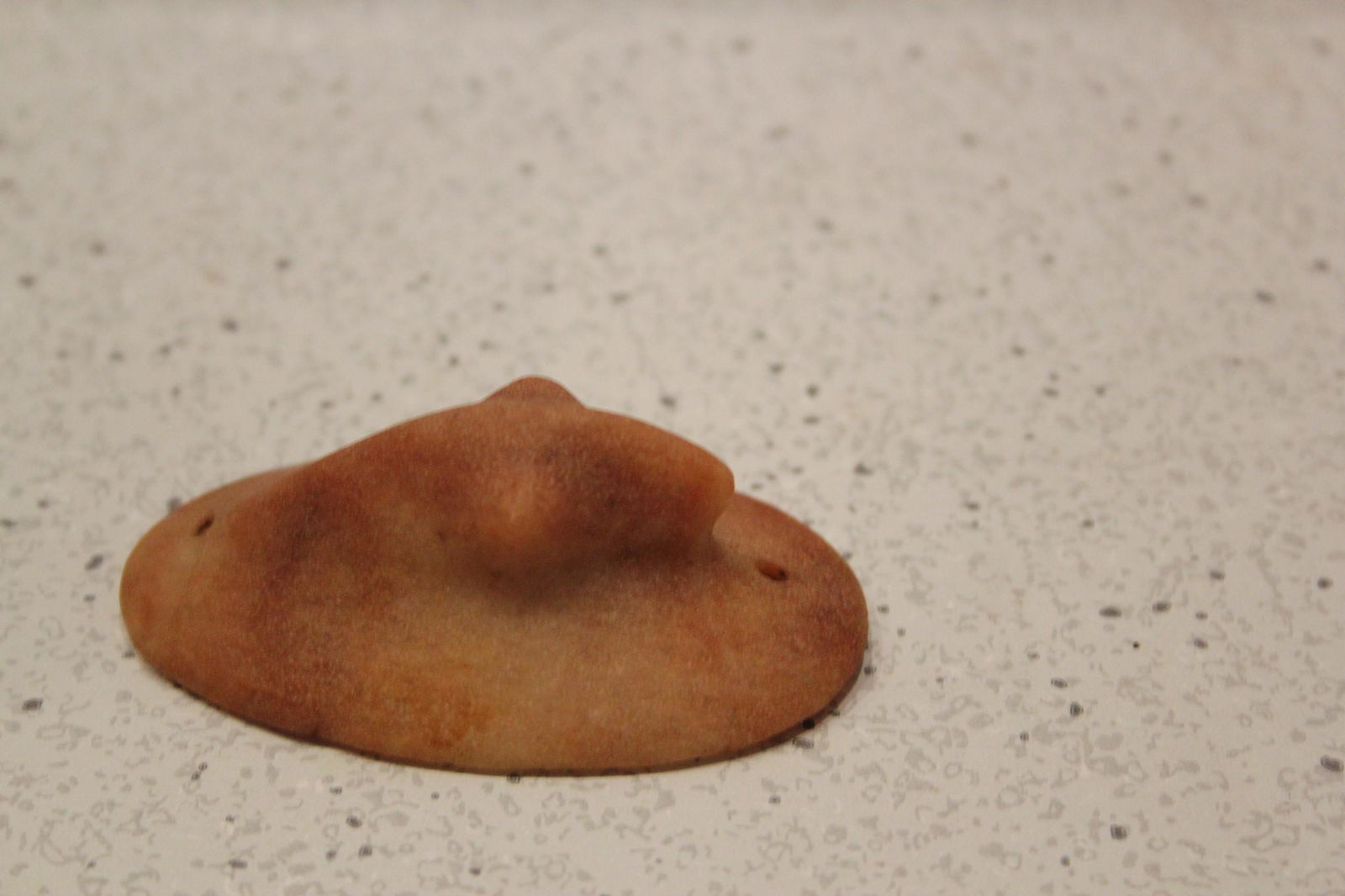 2 11/16" L Quartz Birdstone, Vermillino Cnty, IL (1 of 4)