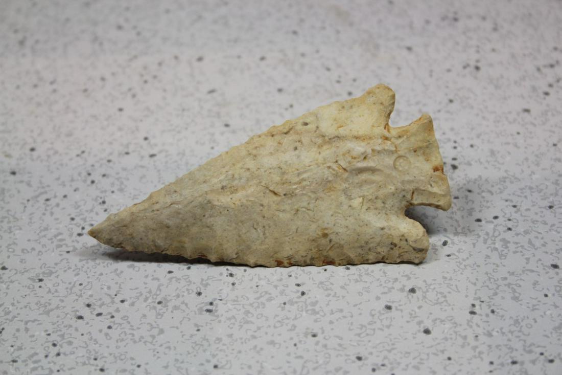 3 3/4" L PINE TREE, BOONE CO., MO (1 of 2)