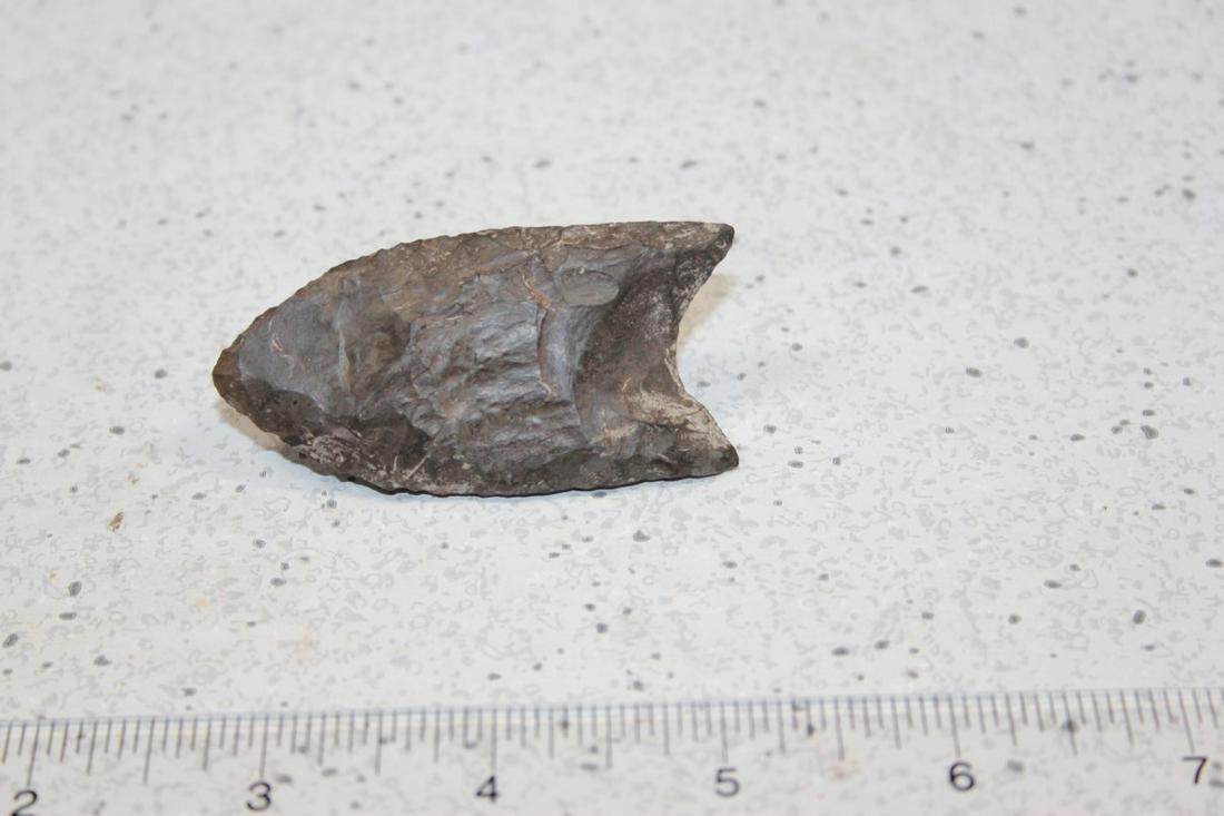 2 1/2" CLOVIS, FLOYD CO., KY W/ TONY PUTTY COA (1 of 3)