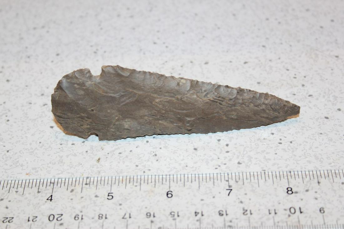 4 1/2" L TURKEY TAIL, DEYER., TN W/ JACKSON COA (1 of 3)