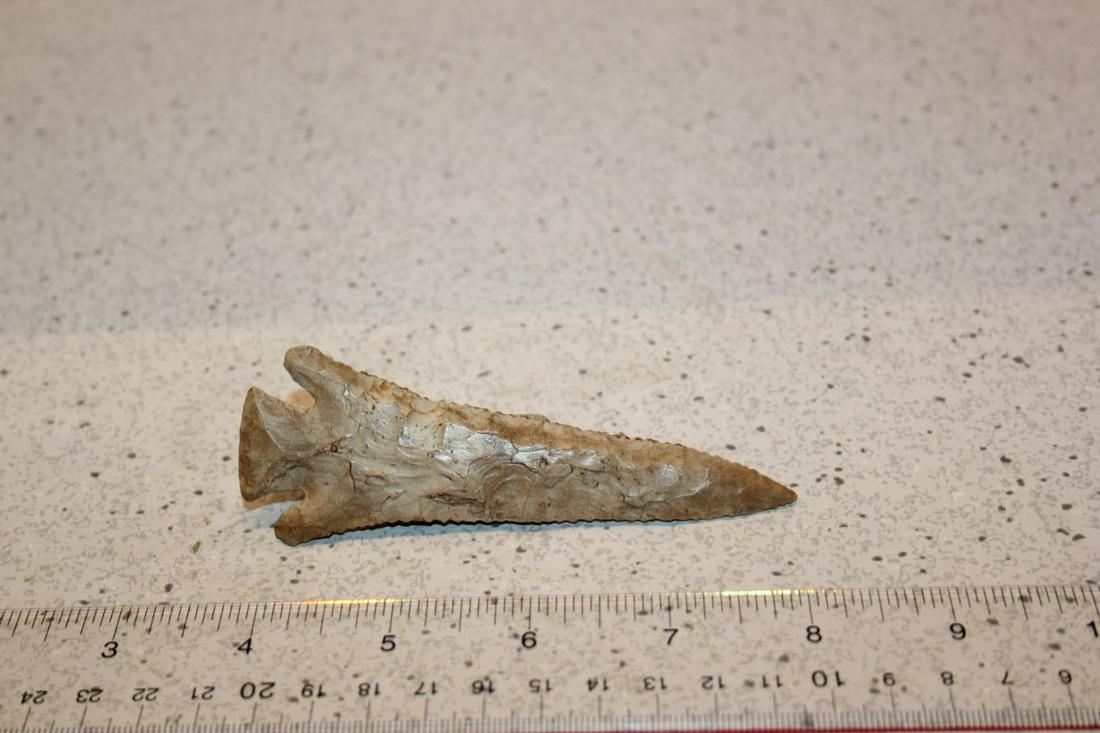 4 1/4" L PINETREE, ADAMS CO., IL (1 of 2)