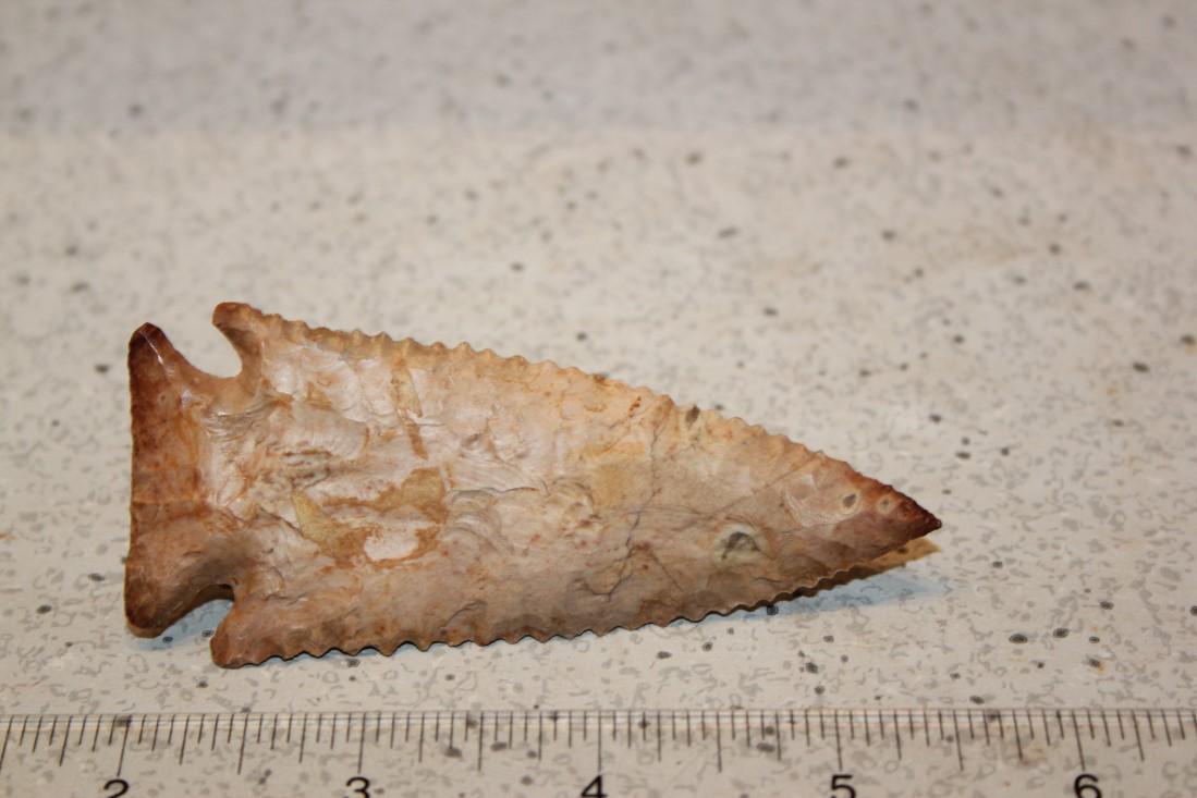 3 9/16" L Pine Tree, Morgan Co., MO (1 of 2)