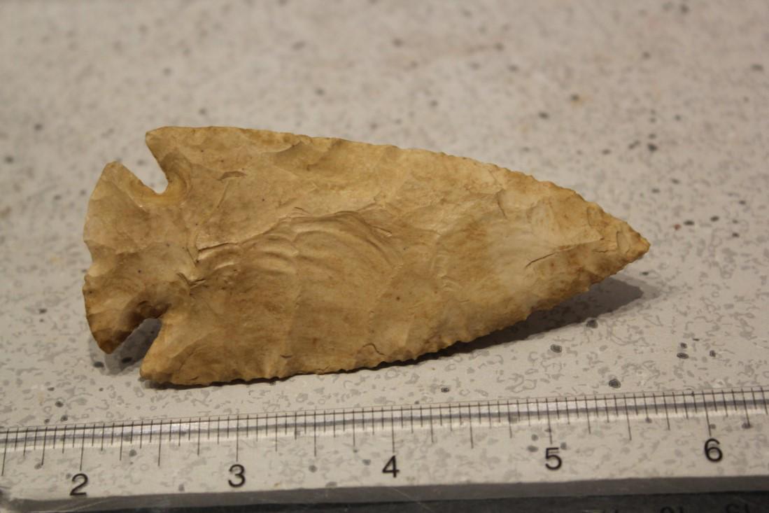 3 7/8" L Dovetail w/ Fracture Base, Boone Co., MO (1 of 2)