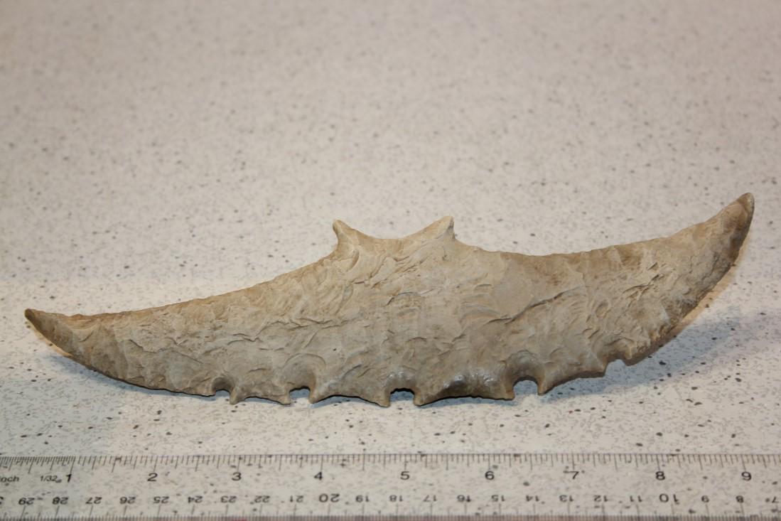 9 5/8" Exotic Flint Form, Ana Co., NM (1 of 2)