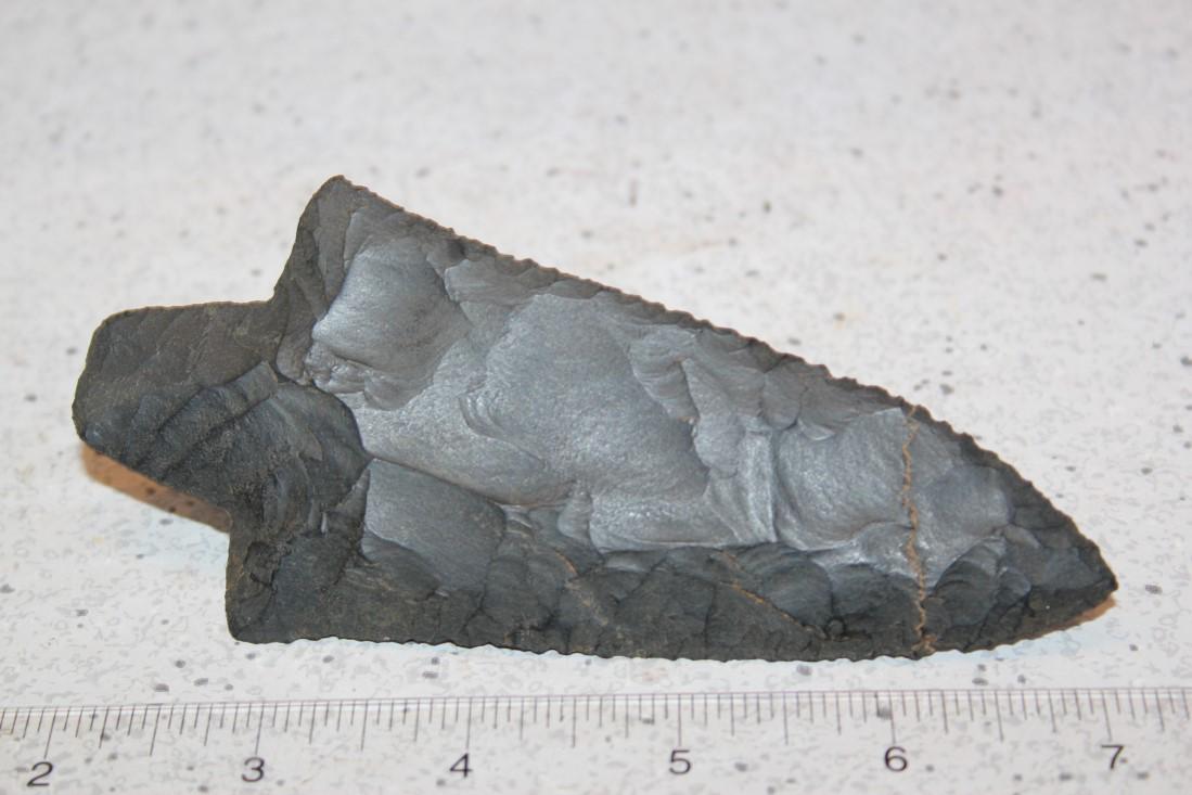 5 3/16" L x 2 3/8" W Coshocton Serrated Pickwick, (1 of 2)