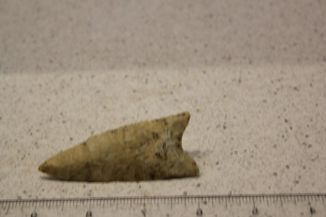 3" L Dalton, Madison Co., IL (1 of 2)