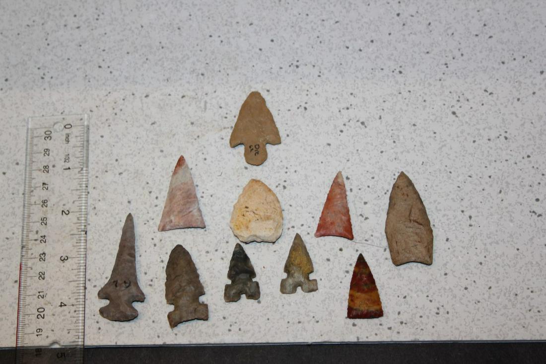 10 Small Game Points (1 of 1)