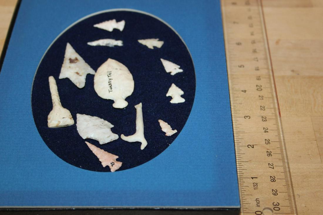 12 Small Game Points (1 of 1)