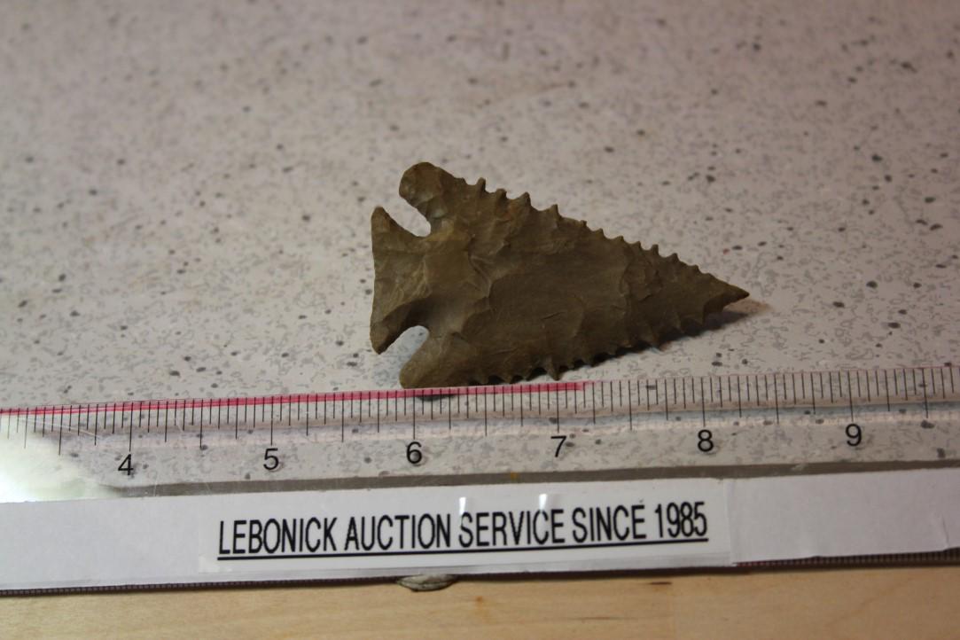 2 3/4" L Pinetree, MO (1 of 2)