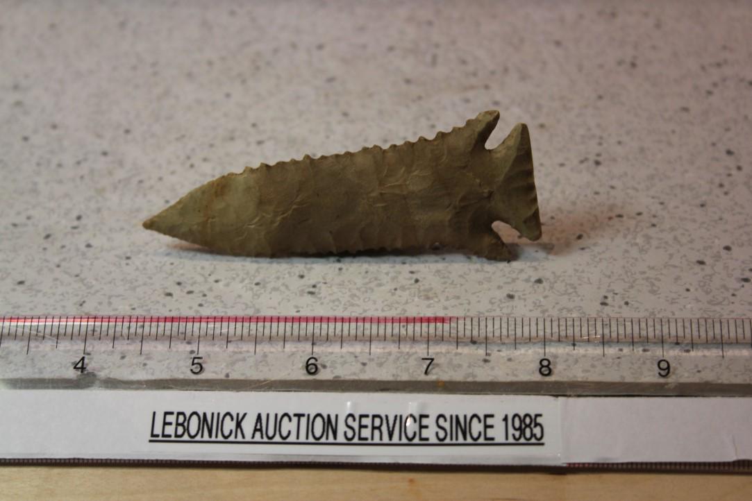 3 11/16" L Pine Tree, Morgan Co., MO (1 of 2)