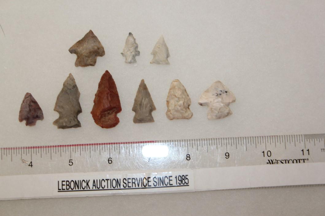 9 Misc Bird Pts, Madison Co., IL (1 of 1)