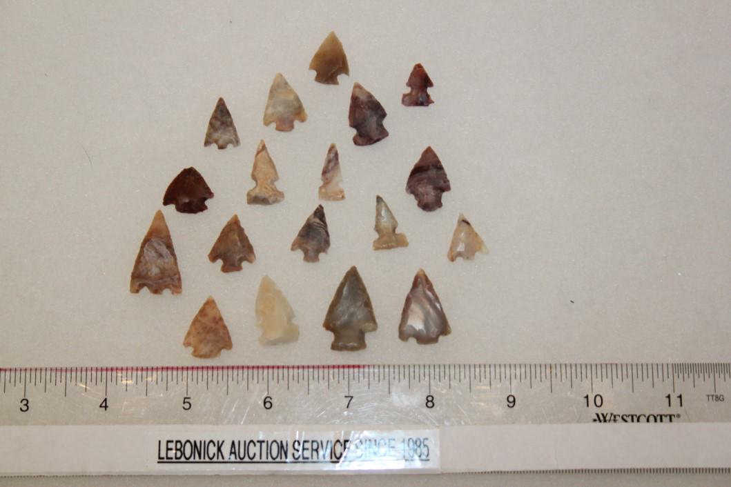 18 Misc Nice Bird PTs, Madison Co., IL (1 of 2)