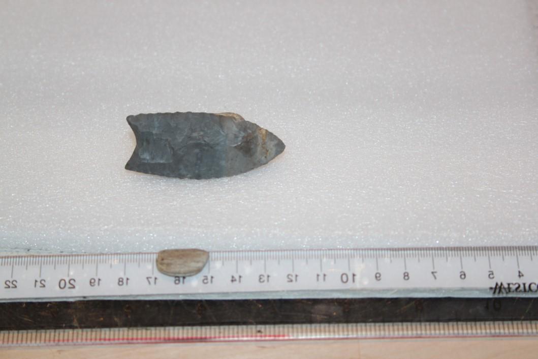 2 3/8" L Clovis, Kaskaskia River Bluff, Fulton Co., IL (1 of 2)