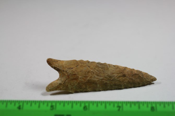 3 3/4"L x 1 1/16'W Dalton, Massic Co., Illinois: 3 3/4"L x 1 1/16'W Dalton, Massic Co., Illinois