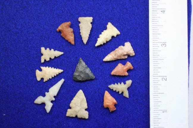 12 Bird Points, Madison Co., Il. Ex Bernie Andrews (1 of 1)