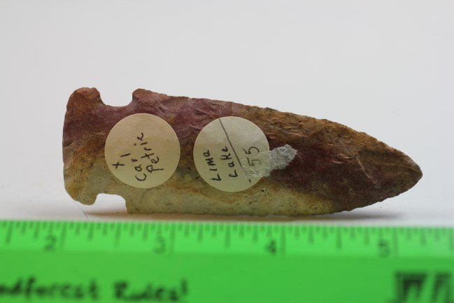 3 5/8"L x 1 1/4"W Godar, Lima Lake, Il: See Lot Title