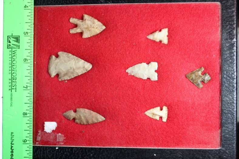 Frame of 7 Bird Points (1 of 1)