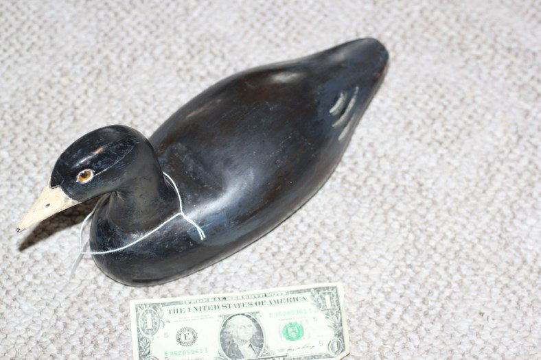 Coot Duck Decoy by W. H. Fenton (1 of 2)