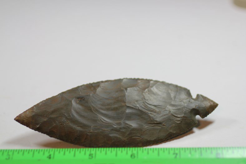 5 3/8"L x 2 1/16"W Turkey Tail Pt, Indiana (1 of 2)