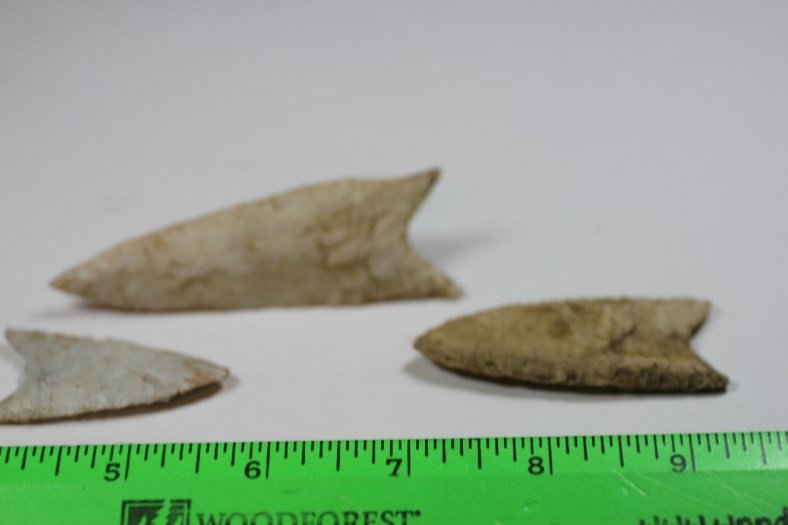 Three Dalton Points, Illinois (1 of 1)