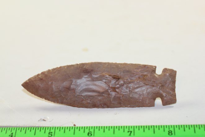 4 1/4' Cache River, Sedgarde Co., Arkansas (1 of 2)