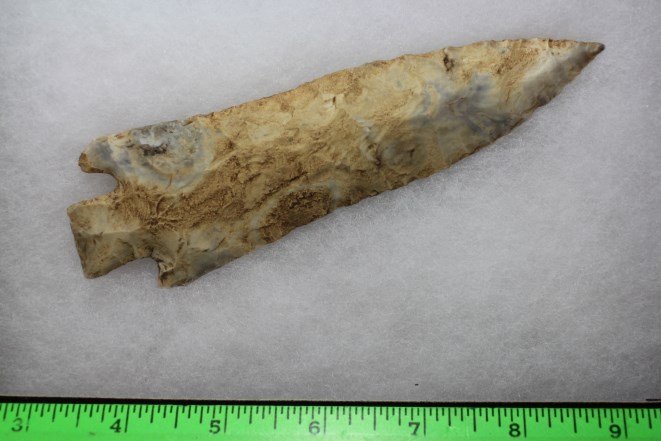 Etley Arrowhead, Missouri (1 of 1)