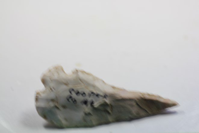 4 1/16"L Corner Tang Knife, Cooper Co., Missouri (1 of 2)