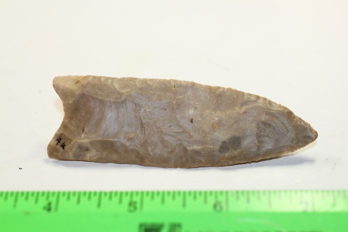 3 5/8"L x 1 1/2'W Texas Clovis W/COA (1 of 3)