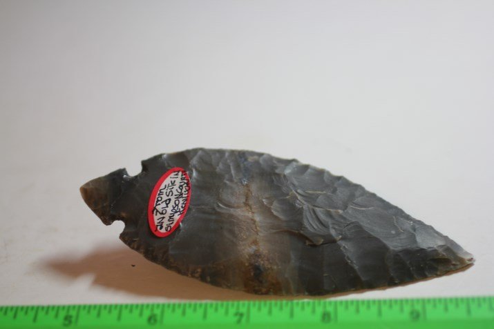 5" Turkey tail, Simpson Co., Kentucky (1 of 2)