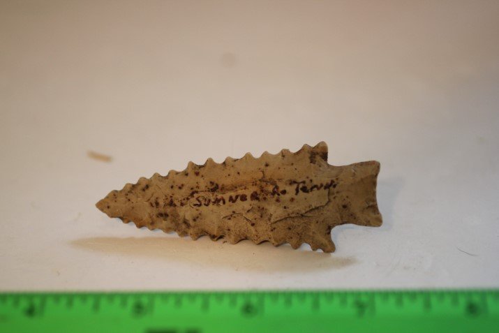 2 7/16" Serrated Kirk, Sumner Co., Tennessee (1 of 2)