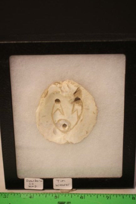 2 5/8" x 2 3/8" Shell Gorget, Dearborn Co., Indiana (1 of 2)