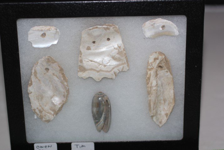 5 Shell Gorgets: See Lot Title