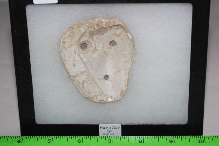 2 3/8' x 3" Shell Gorget, Hamilton Co., Ohio (1 of 2)