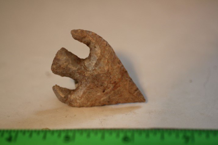 1 11/16" Calf Creek, Oklahoma (1 of 1)