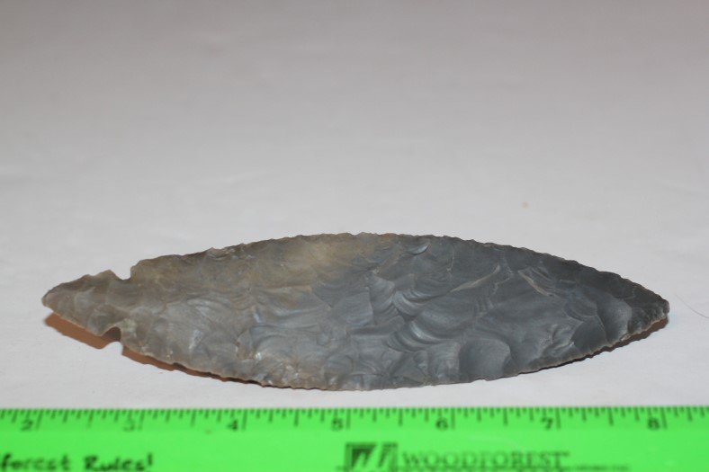 6 1/2" Turkey Tai, Logan Co., Kentucky: See Lot Title