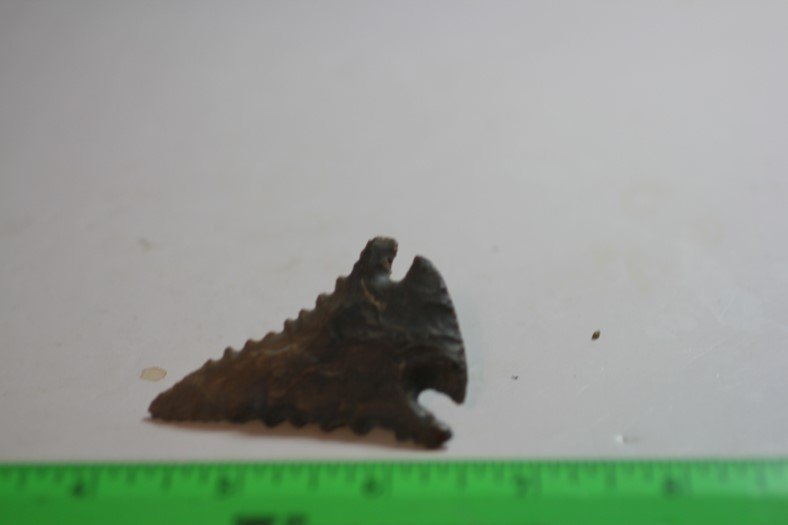 2 /38' Pinetree, Perry Co., Tennessee (1 of 1)