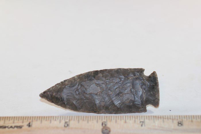 3 1/2'L Warrick Reed Springs, Missouri W/COA (1 of 2)