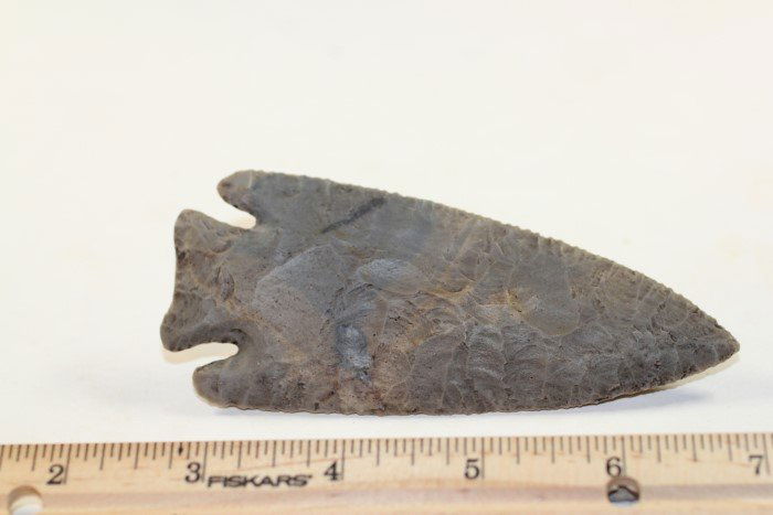 4 1/2"L Lost Lake, Lyon Co., Kentucky W/ COA (1 of 2)